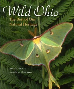 McCormac_J-hr Ohio Book Cover
