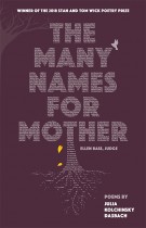 The Many Names for Mother by Julia Kolchinsky Dasbach. Kent State University Press.
